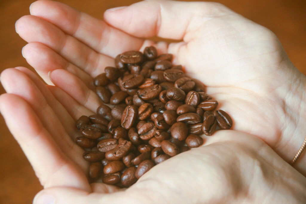 Geröstet Kaffeebohnen werden in den Handflächen gehalten.